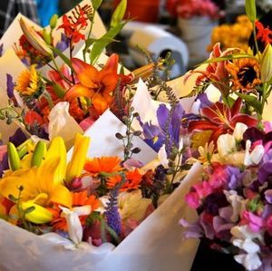 Meet your Posher, Donna